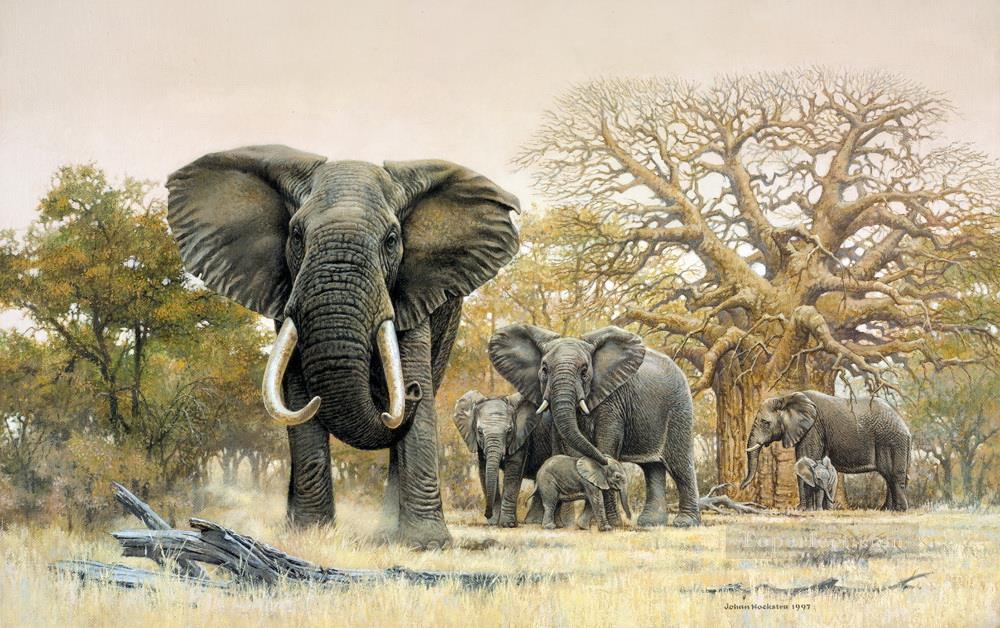Elefantenherde und Baobabs Ölgemälde